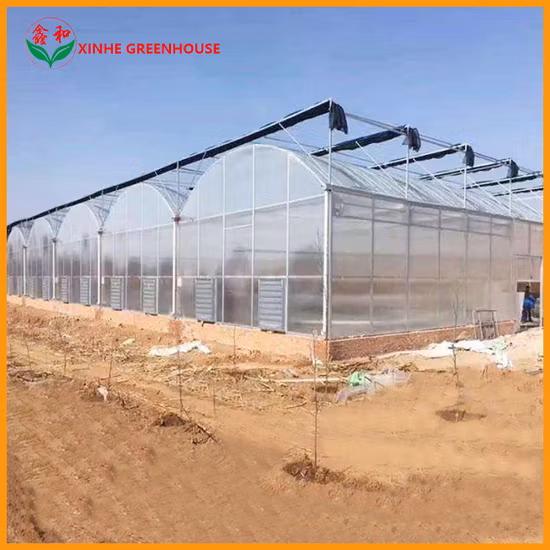 안정적인 구조 필름 온실 가든 하우스
