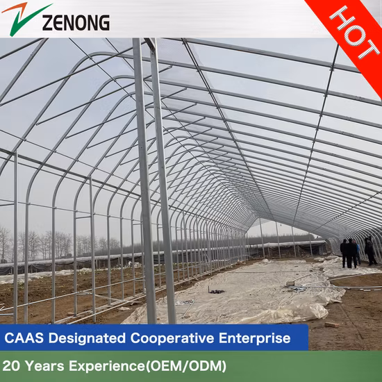 뜨거운 DIP 아연 도금 강철 구조물 필름 태양열 온실 가든 하우스